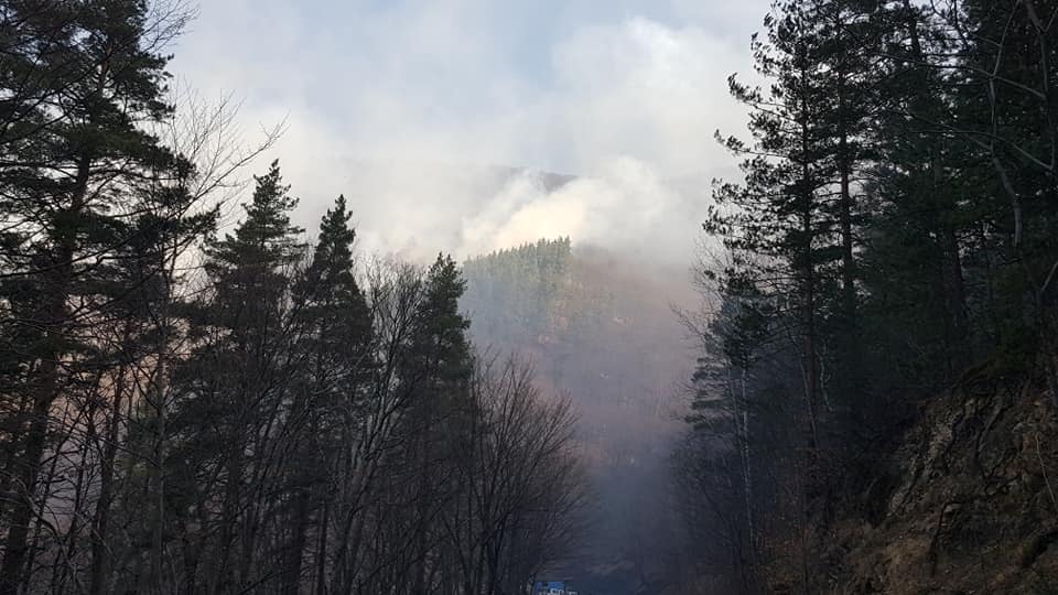 Лесной пожар в муниципалитете Тетрицкаро