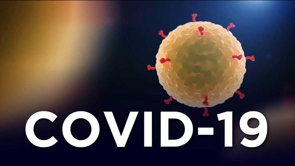 Turkey reports 12 new cases of COVID-19