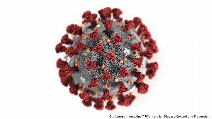 Число инфицированных коронавирусом в России выросло до 93-х человек