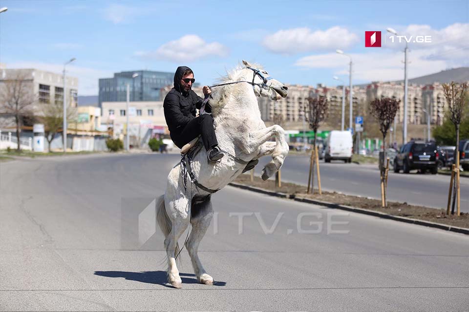 Тбилиси после запрета на передвижение легковых автомобилей (фото)