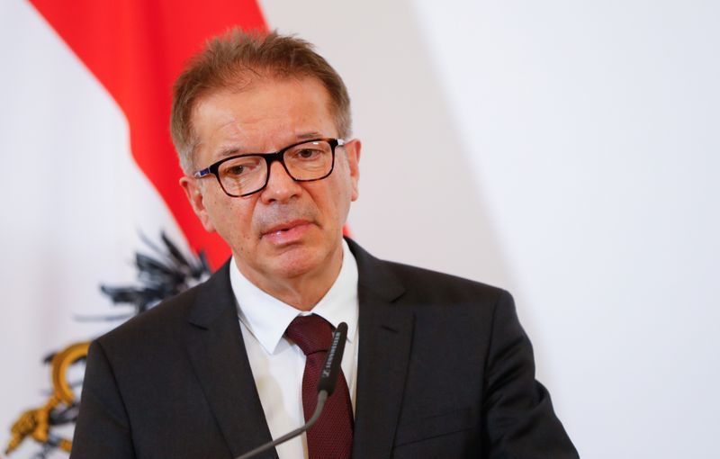 Austrian Minister of Health: Georgia manages to control the virus well