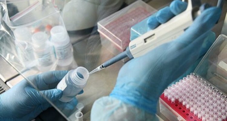 За последние 24 часа в Азербайджане подтверждено 38 новых случаев коронавируса