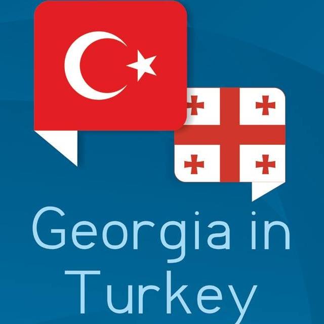 Посольство Грузии в Турции распространяет заявление для граждан Грузии