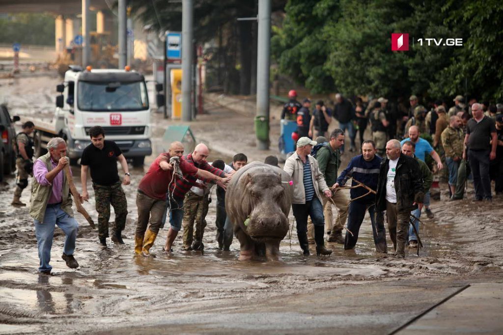 Пять лет прошло с разрушительного наводнения в Тбилиси