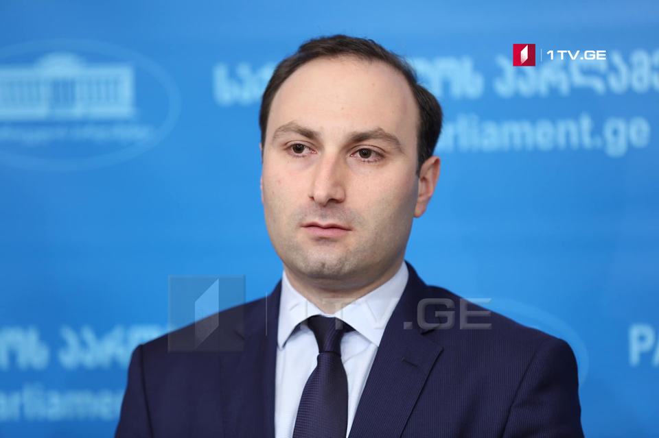 GD ready to cooperate with opposition on EC points, MP Okhanashvili pledges