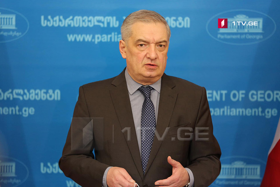 Vice Speaker Gia Volski: Parliamentary opposition to be immature