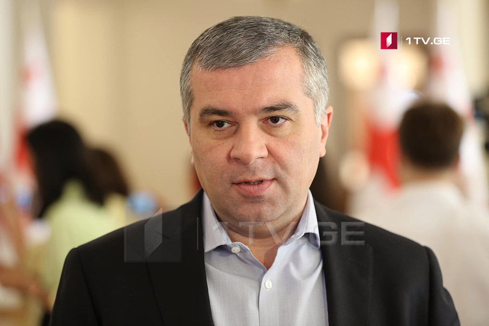Давид Бакрадзе - Если Михаил Саакашвили собирается приехать, он должен приехать и взять на себя ответственность, если не собирается, то пусть перестает анонсировать ложь