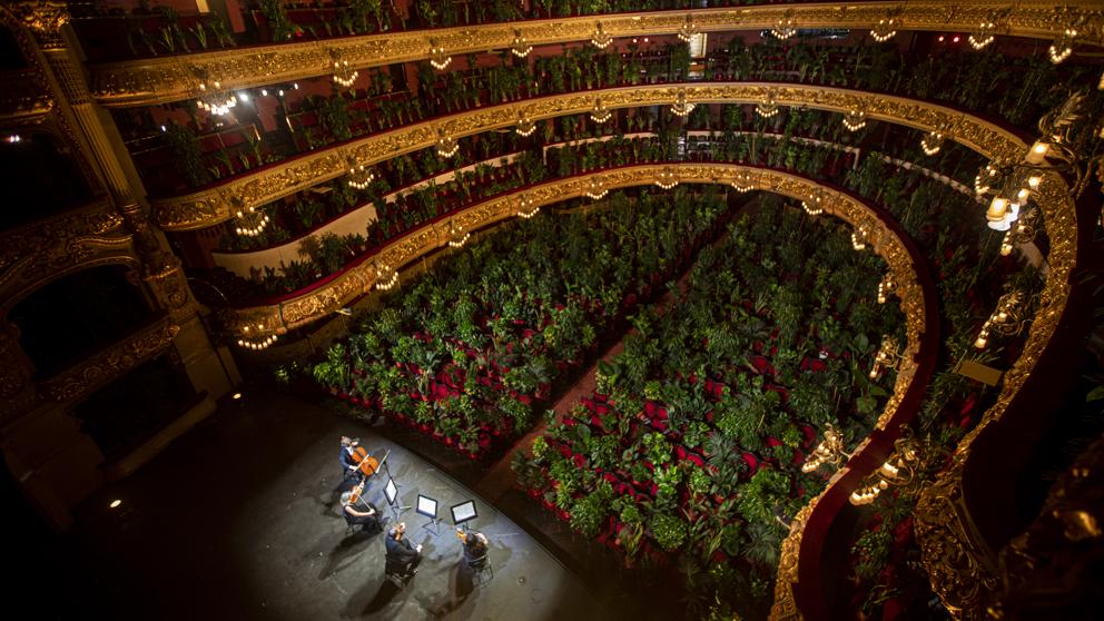 Оперный театр «Лисео» в Барселоне даст первый концерт после пандемии, где вместо зрителей будут горшки с растениями