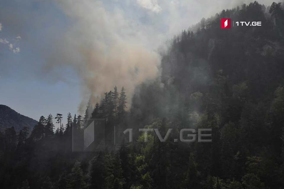 Fire in Mestia Municipality