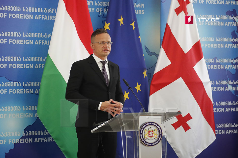 Hungarian FM says Georgia has been supporting Wizz Air activities