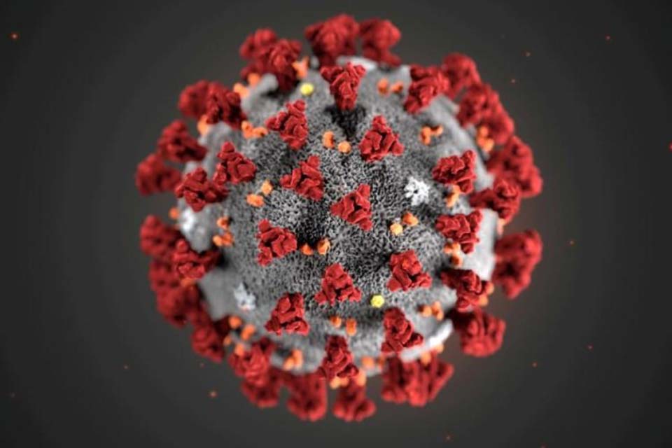 Число инфицированных коронавирусом в мире превысило 21 миллион