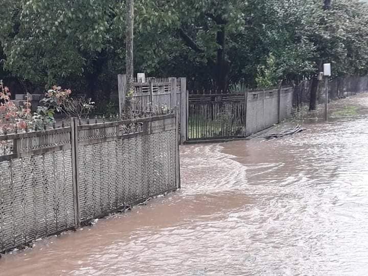 Heavy rains affect Tsalenjikha Municipality