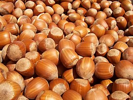 Georgian hazelnut export increases by 74%