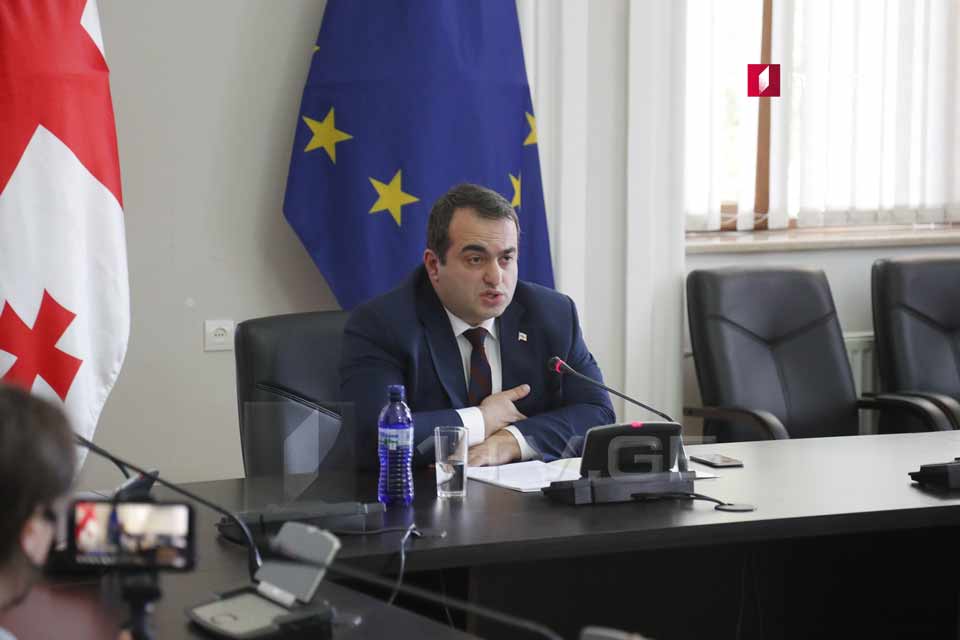 Georgia’s European integration to be Georgian society's choice, Deputy Foreign Minister says