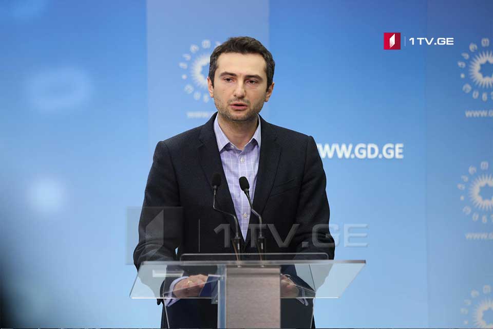 Georgian Parliament Vice-Speaker: EP resolution proves support for Georgia