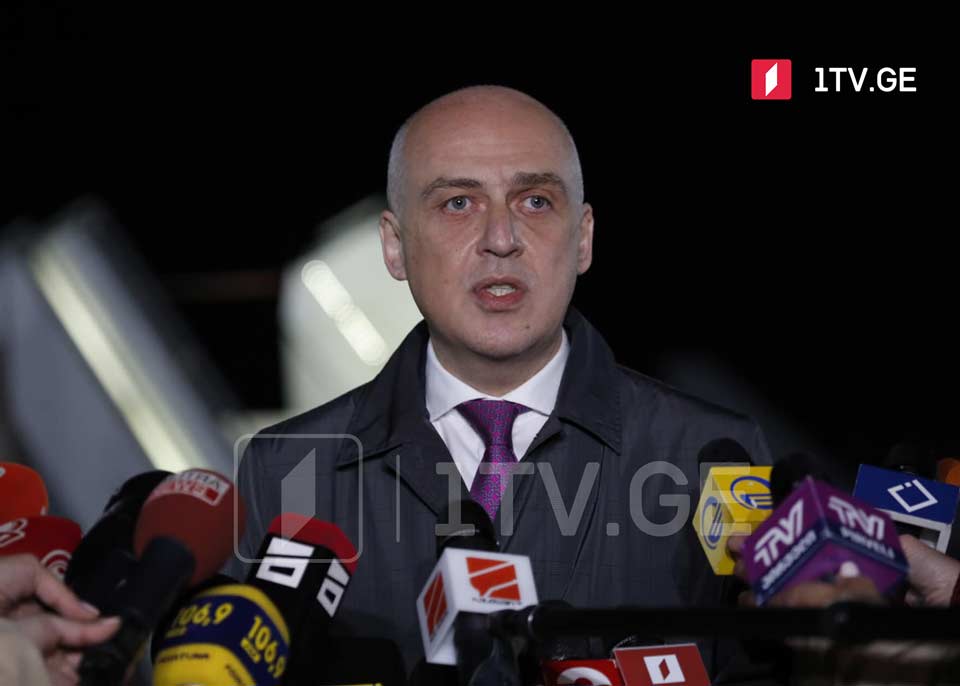 Georgian FM: economic cooperation with US to be as comprehensive as defense, security, politics