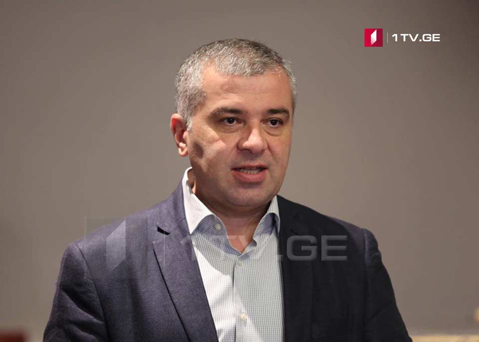 European Georgia party Chair to quit post, take timeout