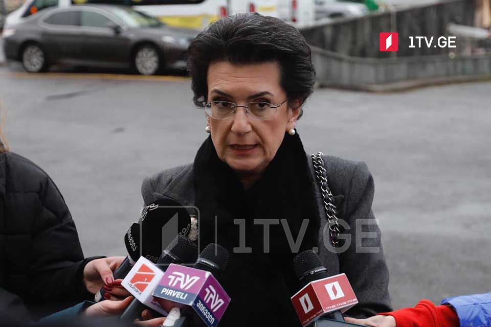 United Georgia Leader wonders MEP Viola von Cramon’s taking seat if elections forged