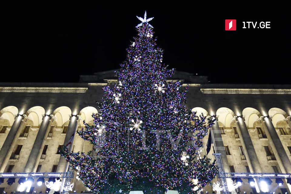 New Year tree lights up in Tbilisi