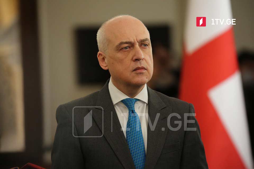 Georgian FM: Hard to see talks over economic projects with occupant country
