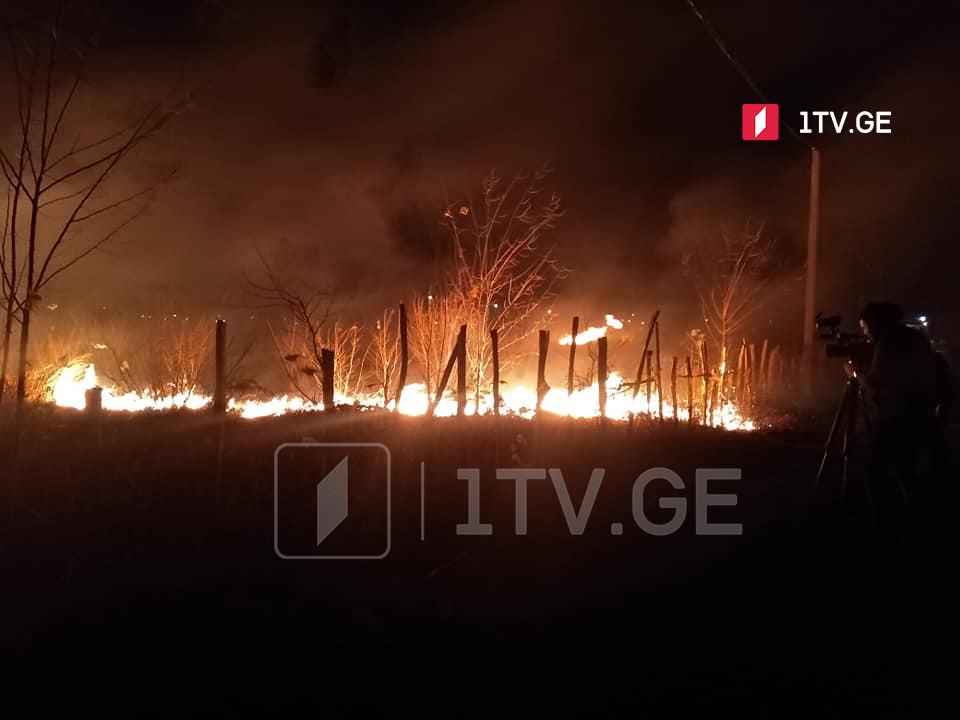 Dozens of seats of fire reported in Samegrelo-Zemo Svaneti region