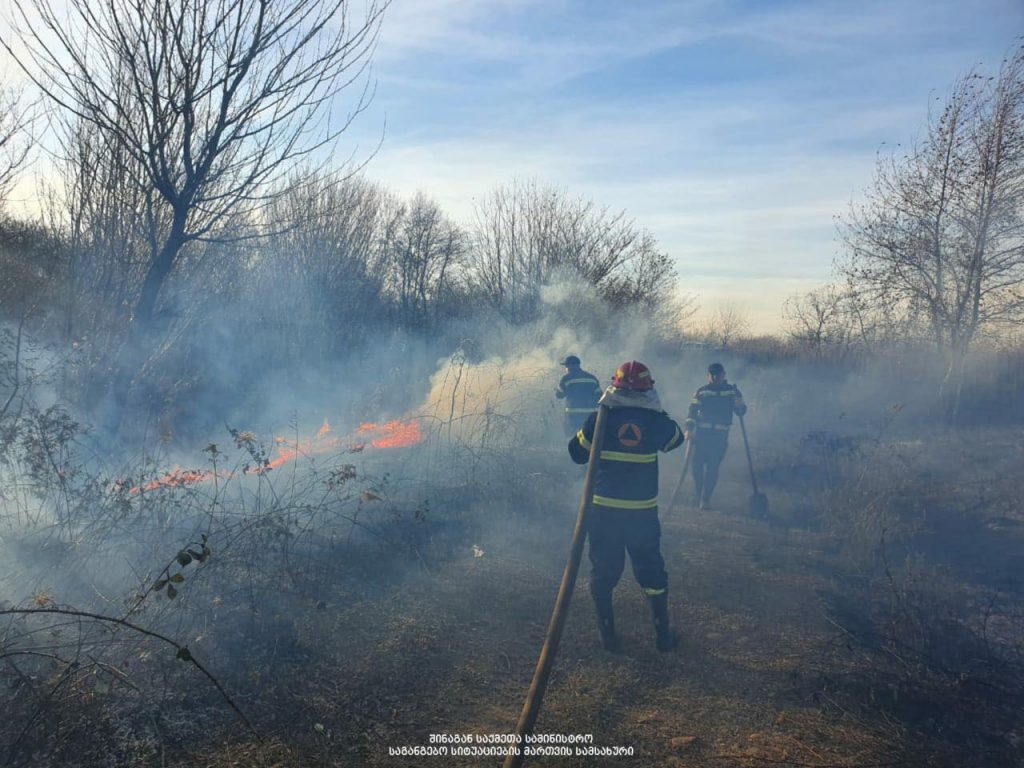 Over 700 firefighters and 70 vehicles dispatched to fires across Georgia