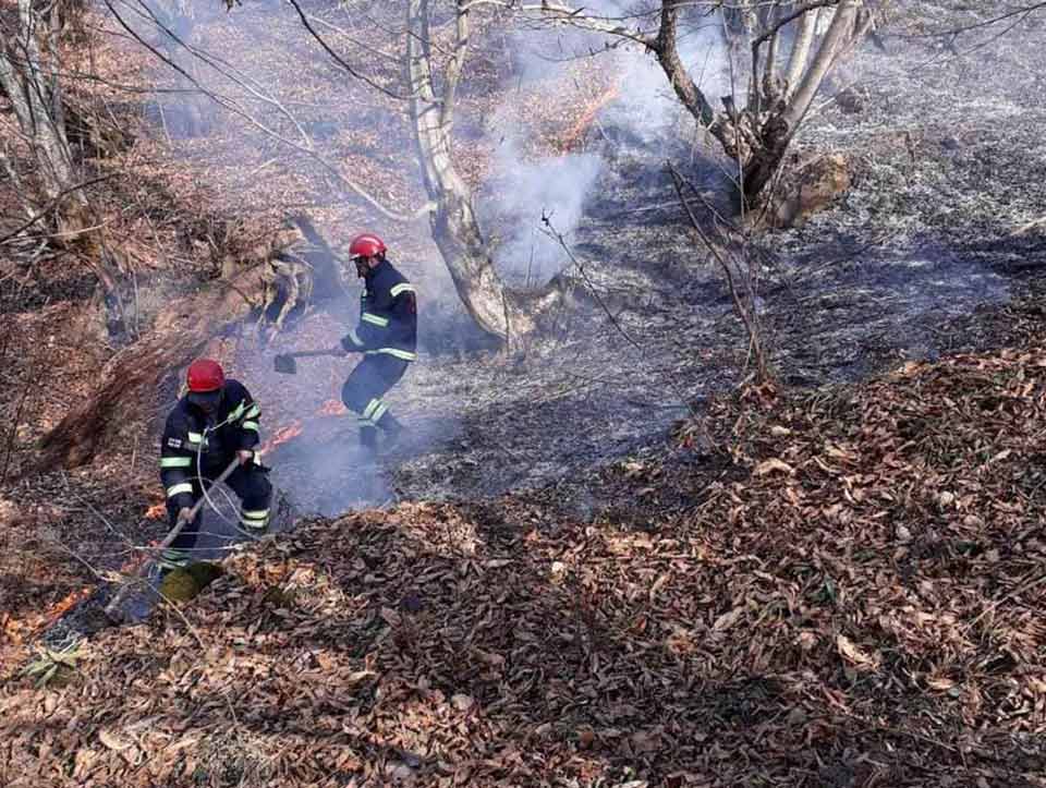 Firefighters extinguish 5 forest and field fires