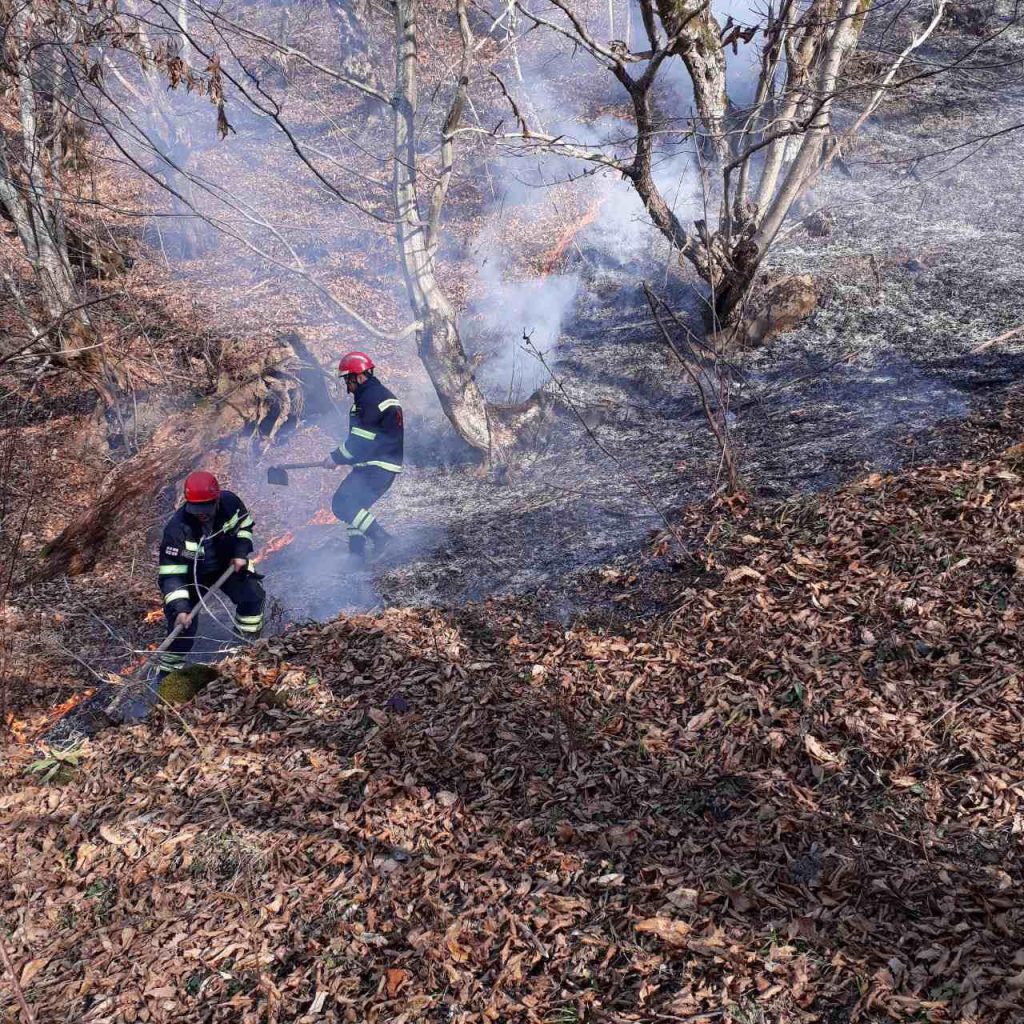Служба по управлению чрезвычайными ситуациями - Пожарные-спасатели тушат пожары в 11 локациях по всей стране