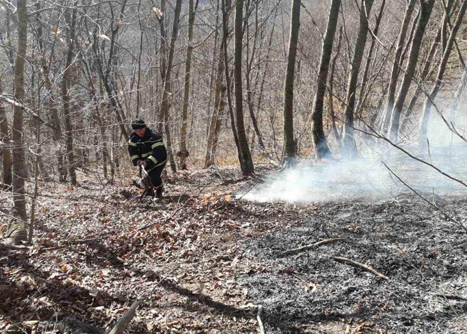 Nine fires still burn across Georgia