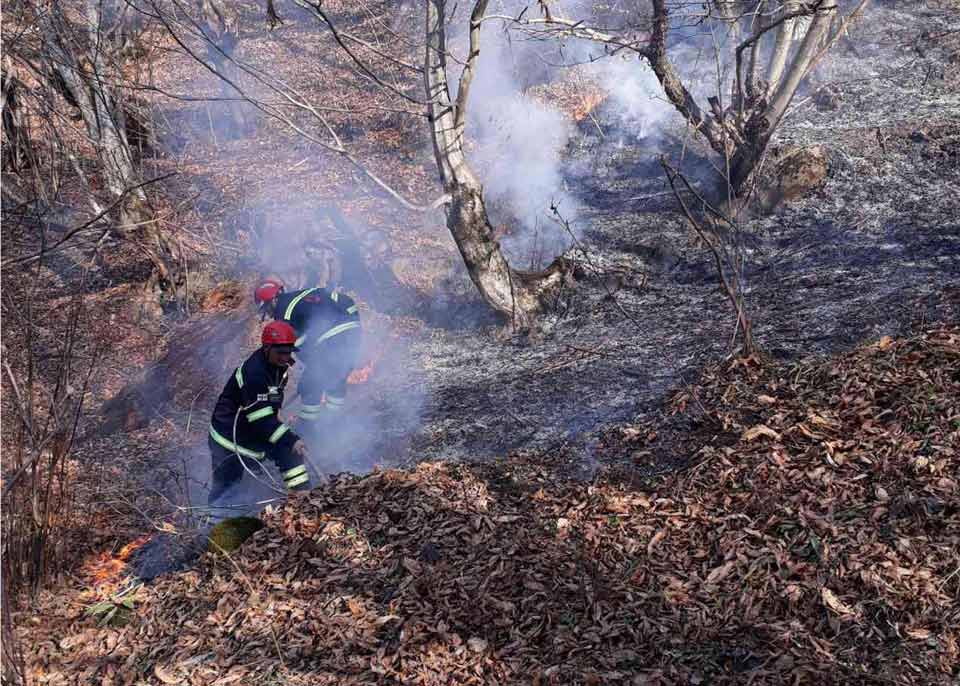 В Грузии ликвидированы лесные и полевые пожары