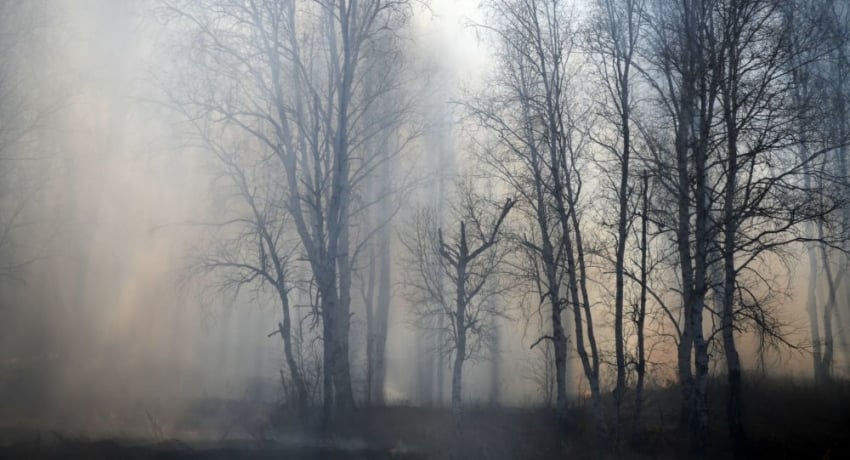 По информации де-факто режима, масштабные пожары в оккупированной Абхазии были потушены дождем