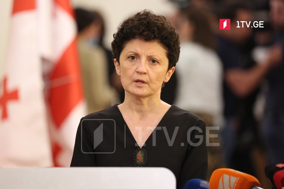 Former Justice Minister: ECHR judgment rules Russia ethnically cleansed Georgians