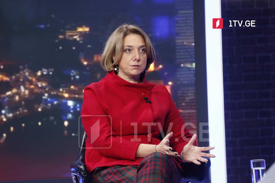 Саломе Самадашвили - Говорить о том, каким путем мы дойдем до досрочных выборов и блокирование каких-либо решений делу не поможет