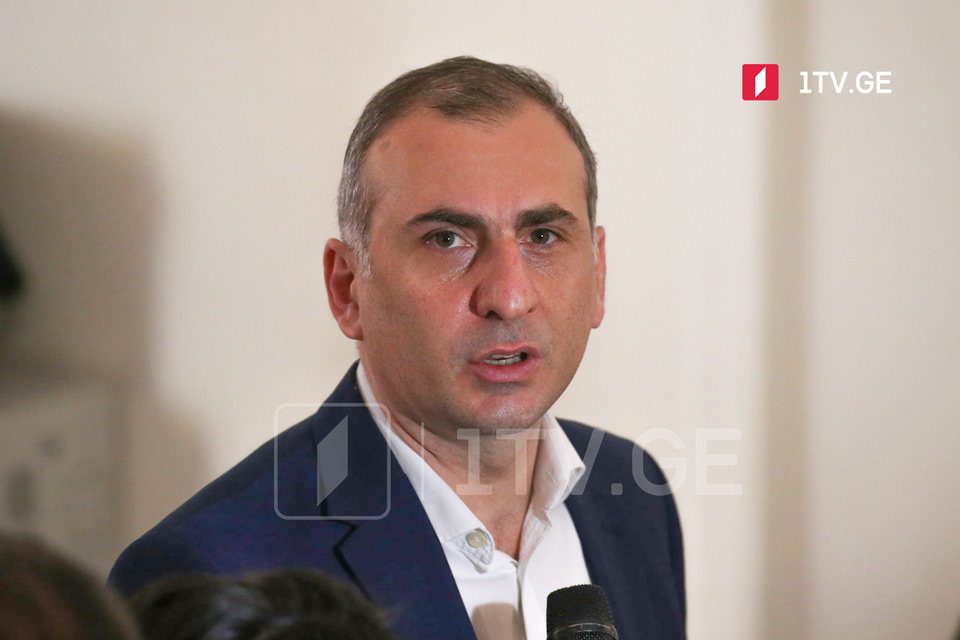 Алеко Элисашвили - Выдвижение в премьер-министры конфронтационного человека, ненавидящего оппозицию, усугубит ситуацию