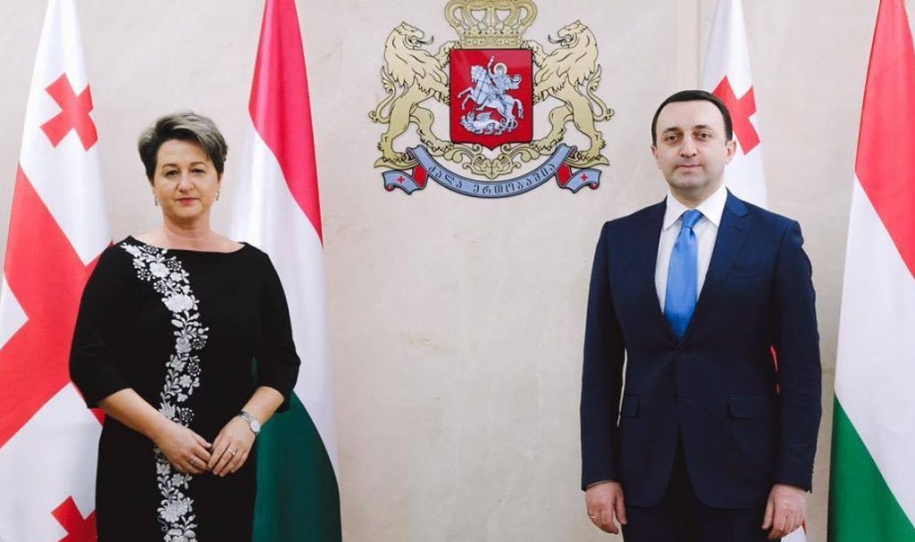 Georgian Defense Minister meets Ambassador of Hungary