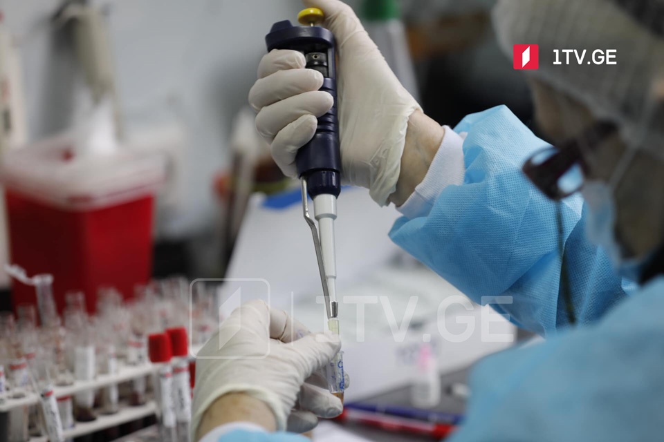 191 случай коронавируса выявлен в Тбилиси, 108 - в Имерети и 46 - в Самегрело-Земо Сванети