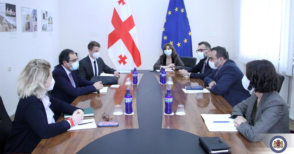 Georgian Deputy FM meets CoE representatives 