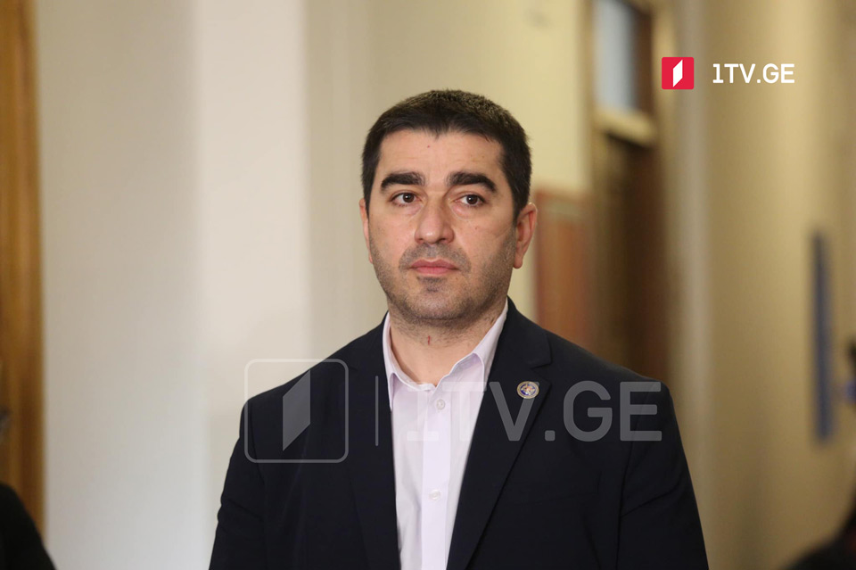 GD MP Shalva Papuashvili: I expect additional seventeen signatory MPs to start working tomorrow