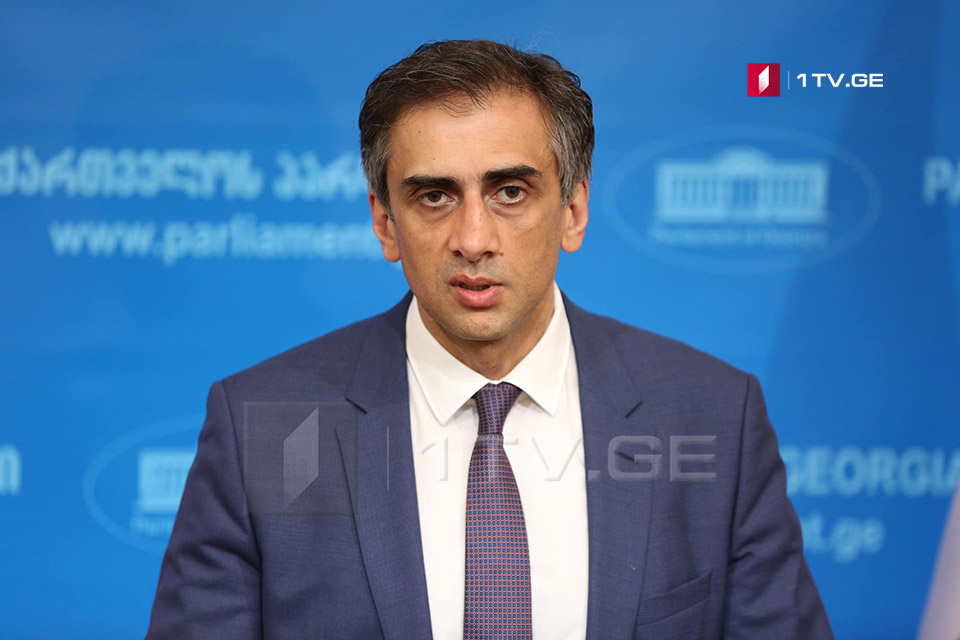 Georgian Parliament staffs Interim Election Inquiry Commission