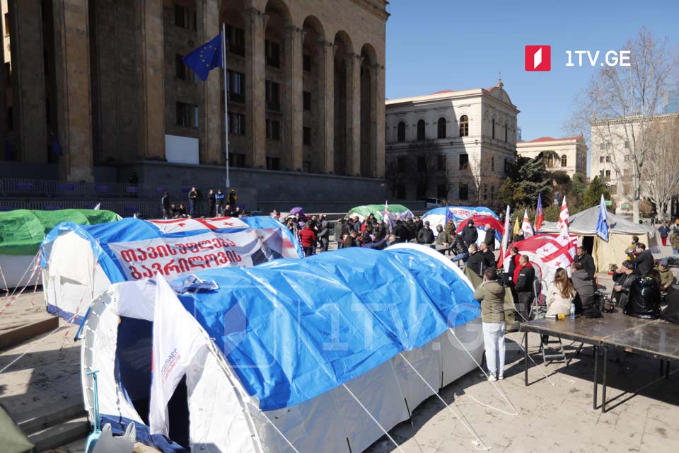 Еще одна палатка поставлена ​​возле здания парламента Грузии