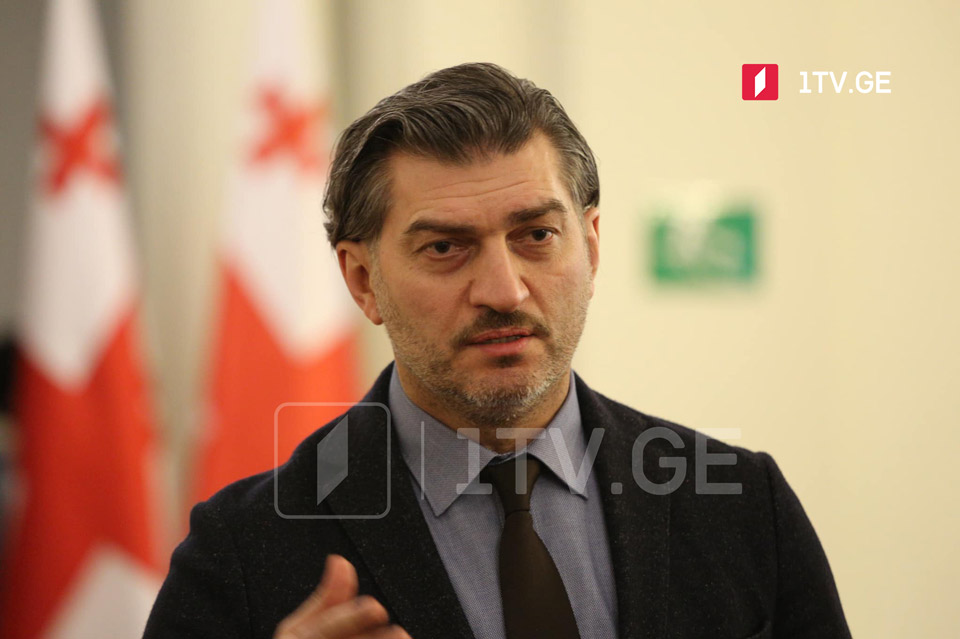 MP Kavelashvili doubts whether U.S. Ambassador attended Ackerman's meeting 