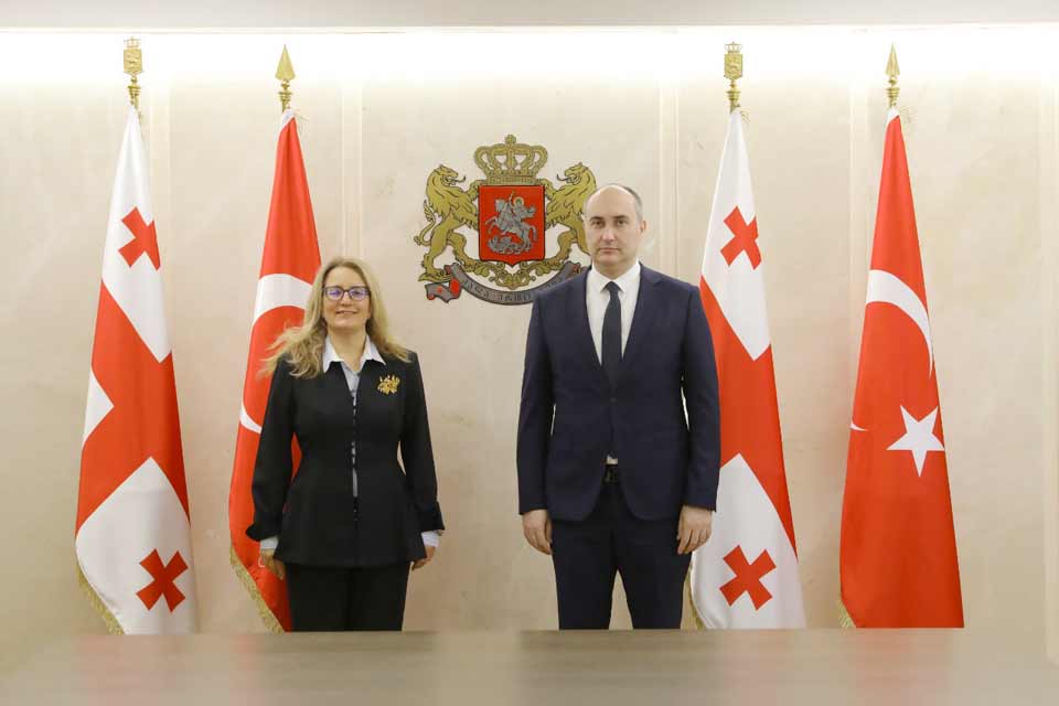 Georgian Defence Minister meets Turkish Ambassador