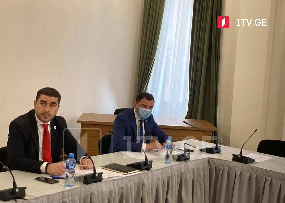 Գիորգի Ամիլախվարին ընտրվեց խորհրդարանի կրթության և գիտության կոմիտեի նախագահի առաջին տեղակալ