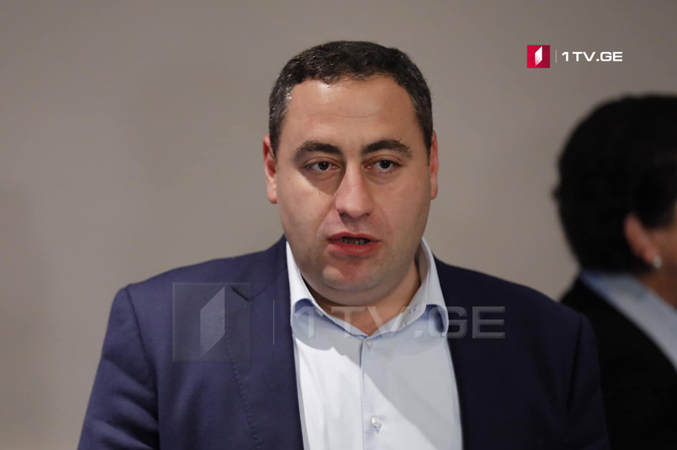 Strategy Agmashenebeli offers action plan to gov't, opposition