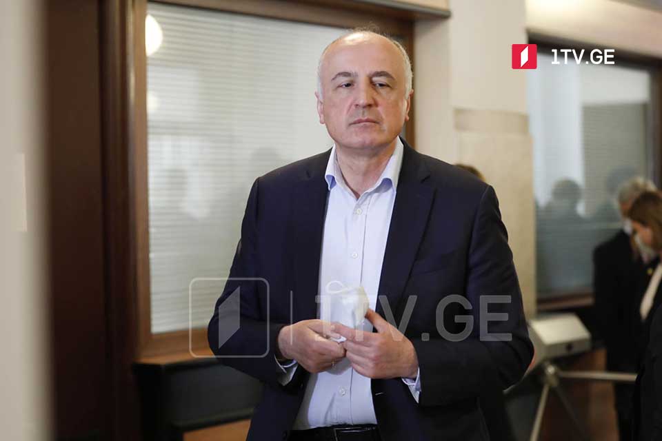 Бадри Джапаридзе - Для создания следственной комиссии необходимо, чтобы "Национальное движение" вошло в парламент
