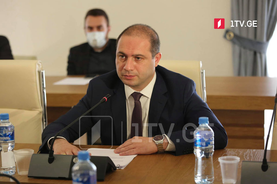 Гиви Миканадзе возглавит временную следственную комиссию по изучению результатов парламентских выборов 2020 года