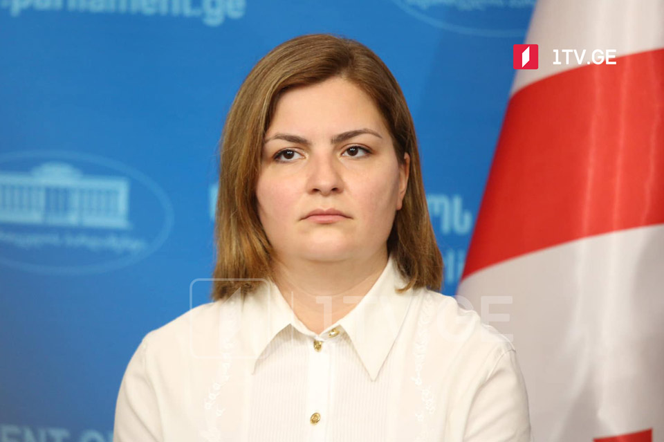 Анна Нацвлишвили - Единственное, что может сделать Тамар Жвания для лучшей избирательной среды и государства - это подать в отставку