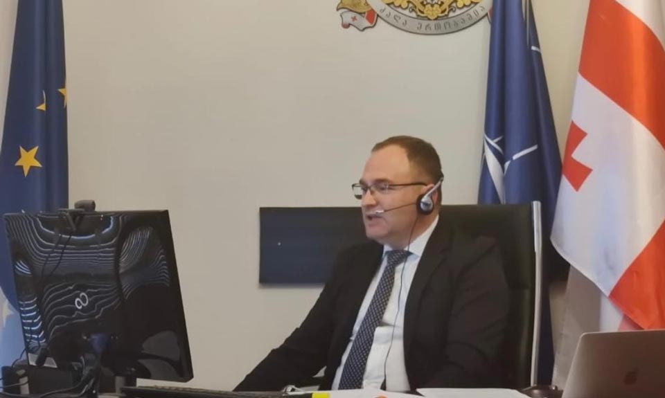 Парламентская делегация Грузии участвует в весенней сессии Парламентской ассамблеи НАТО в режиме онлайн