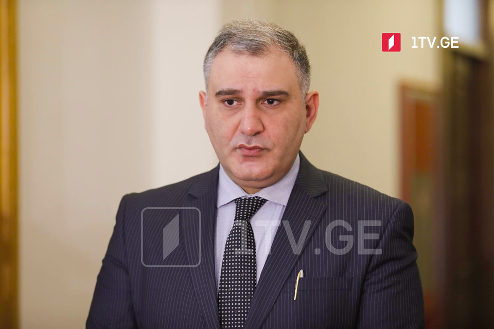 Михаил Сарджвеладзе - Встреча Гарибашвили и Мишеля не означает, что соглашение от 19 апреля остается в силе