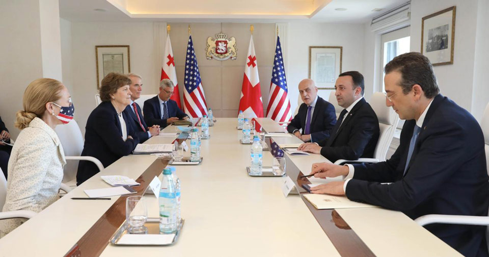 Georgian PM meets Congressional delegation